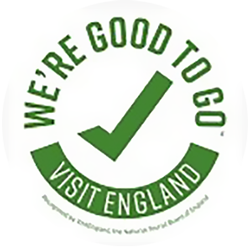 Covid - Good to go logo