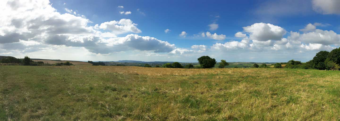 7-dorset-countryside.jpg